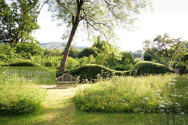 View across meadow with mown paths to wooden bench in front of an undulating Carpinus betulus - Hornbeam - hedge echoing the shape of the hills beyond