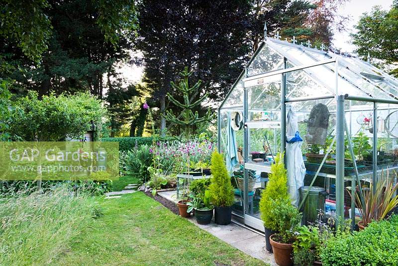 Greenhouse in vegetable garden at Ivy House, Cumwhitton in July
