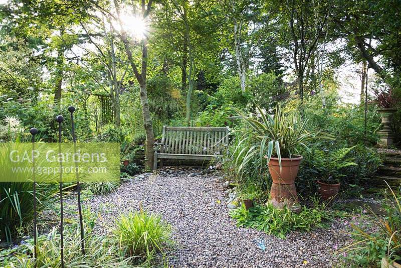 Shade garden with a wooden bench surrounded by plants including ferns.
