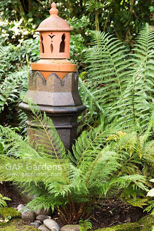 Ornamental amalgamation of chimney pot and terracotta pots surrounded by ferns in a shady area of the garden at Ivy House, Cumwhitton in July
