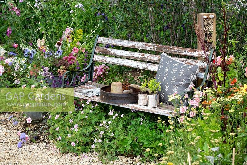 Victorian wooden bench with sieve, cushion and recycled newspaper pots in Springwatch Garden, with Geranium x oxonianum Lace Time underneath. 