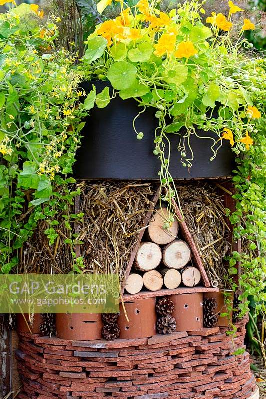 Recycled roof tiles re-used to form bug hotel with Nasturtium 'golden jewel' growing on roof