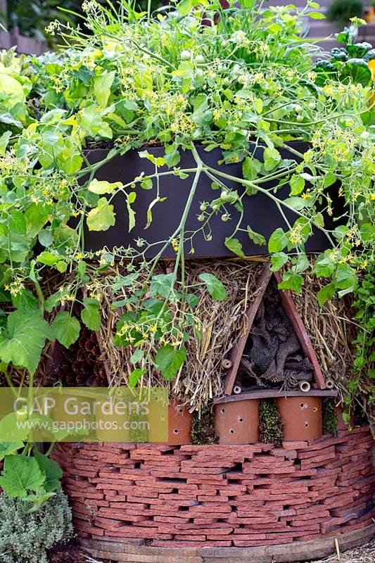 Recycled roof tiles re-used to form bug hotel with miniature tomato growing on roof