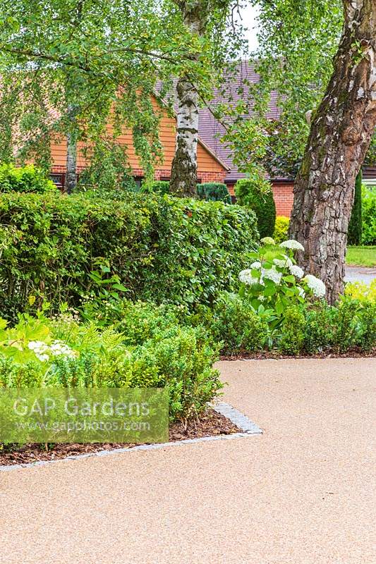 Angular borders edged with cobbled granite and planted with woodland plants such as Hydrangea and Buxus. 