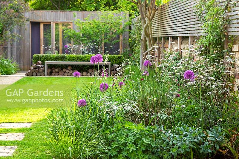 Border with alliums and cow parsley in front of a lawn, bench and wooden summer house.