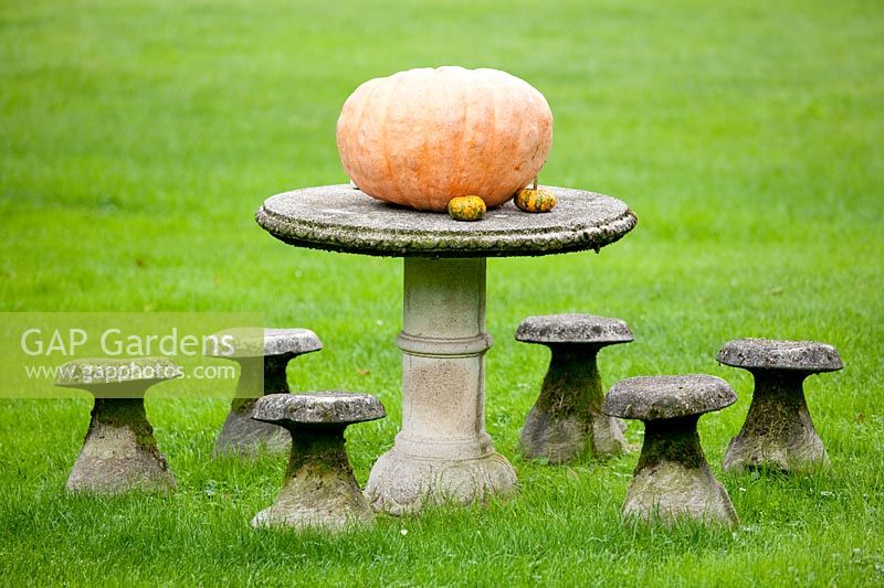 Harvested pumpkin displayed on table outside.