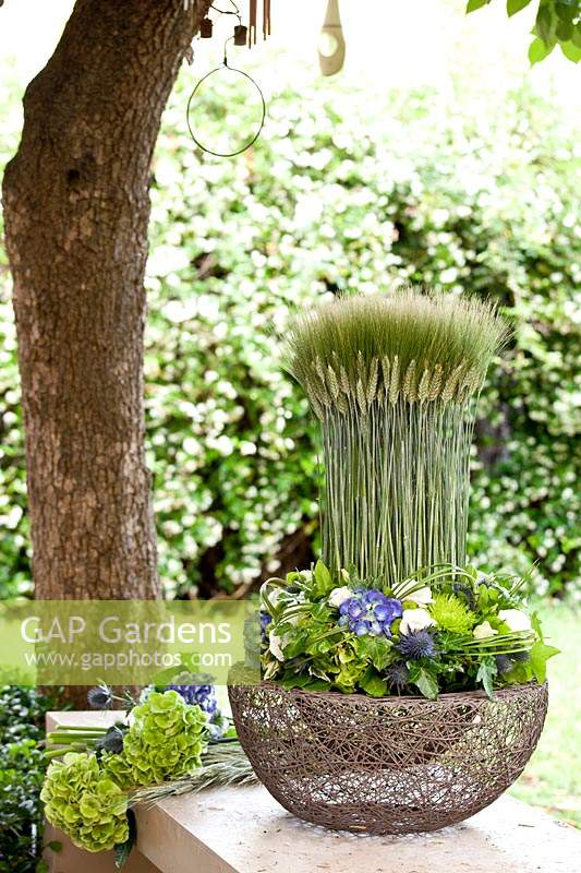 Decorative pot filled with ears of corn, Lisianthus, Hydrangea, Eryngium, Beargrass and variegated Ivy.