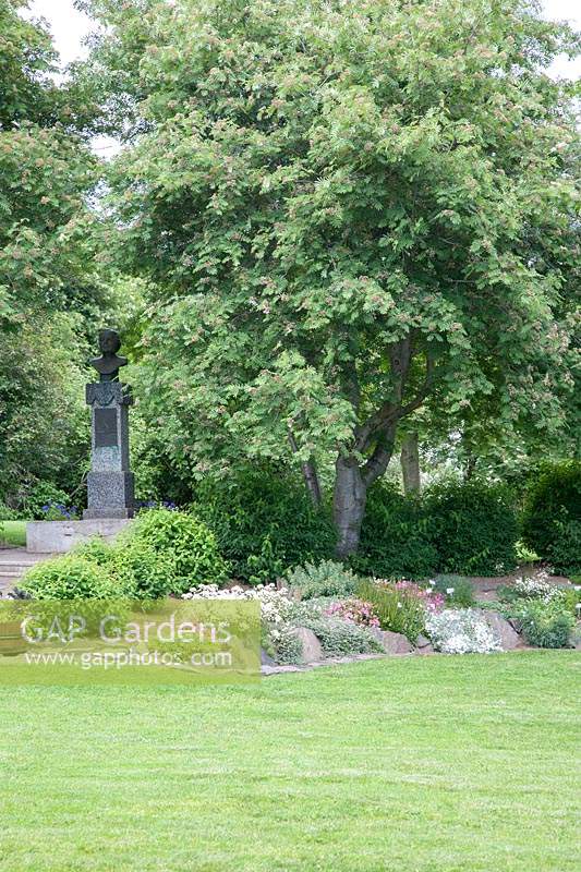 Statue commemorating Margrethe SchiÃ¶th, instrumental in the development of Lystigarâˆ‚ur Garden. Iceland