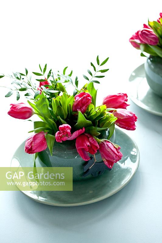 Fucsia tulips displayed in small glazed pot