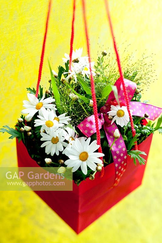 Daisies and panicum 'fountain'displayed in a hanging gift bag