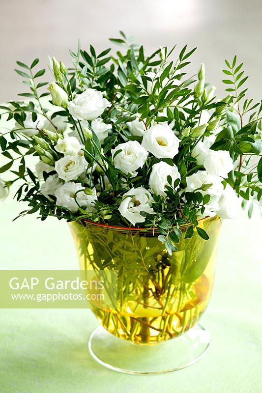 White lisianthus in a small glass vase