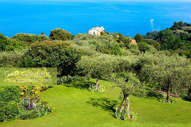 View over garden with spring borders and olive trees to the sea