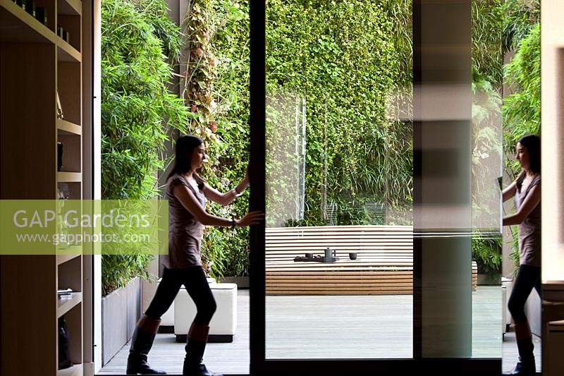 Woman pushing open screen door to reveal modern, courtyard garden with living green walls. 