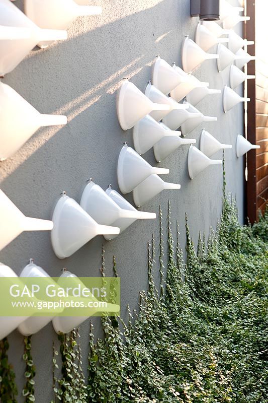 Wall covered in plastic funnels as decorations with ficus pumila growing beneath.