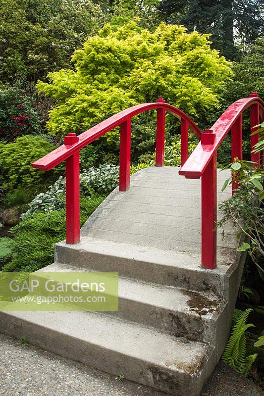Red moon footbridge over stream, surrounded by acers and rhododendrons.