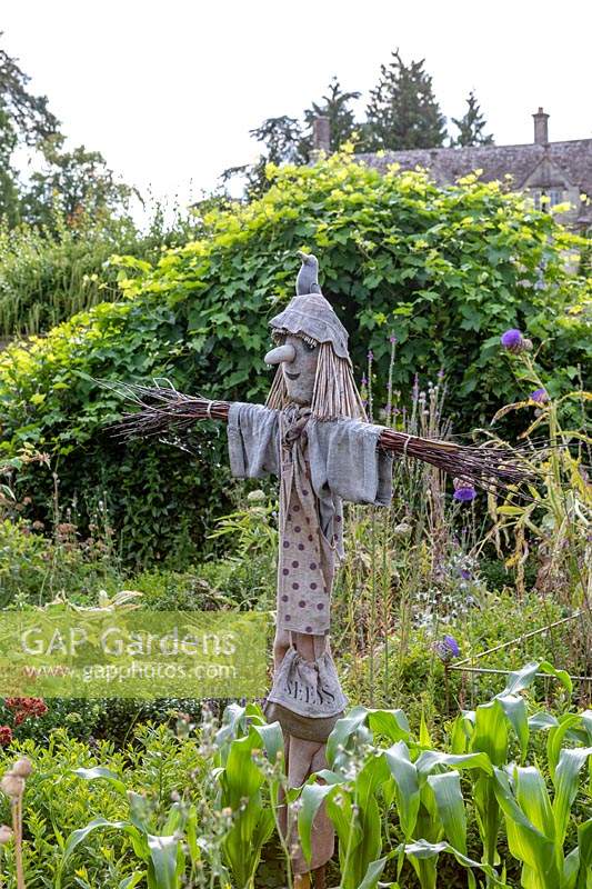Scarecrow in the vegetable garden - The gardens of Barnsley House in Gloucestershire, late summer. 