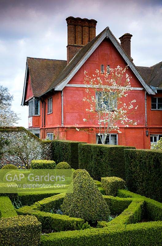 The knot garden and Amelanchier x grandiflora 'Ballerina' at Wyken Hall Garden, Suffolk, UK. 