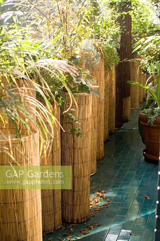 Planters surrounded with bamboo roll with miscanthus sinensis 'zebrinius'