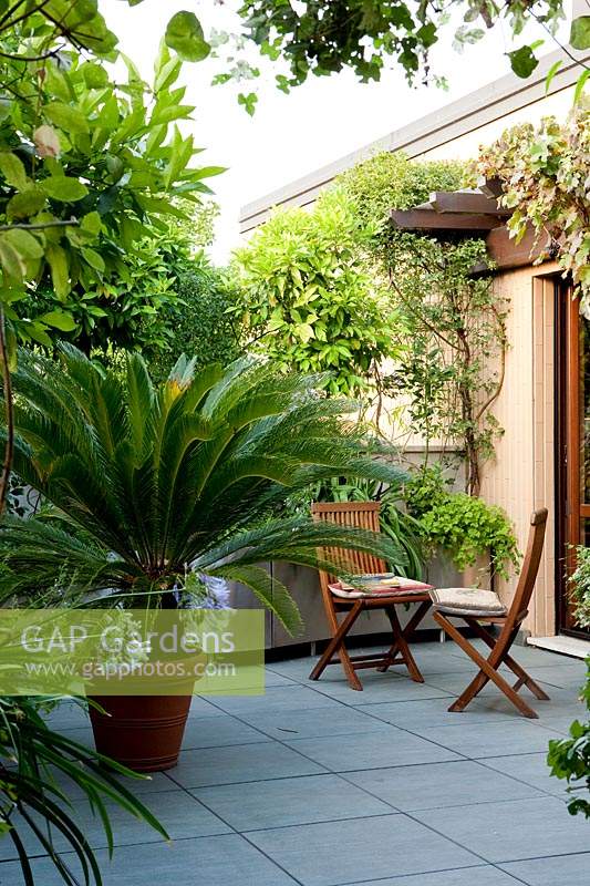 Paved roof terrace garden in summer 