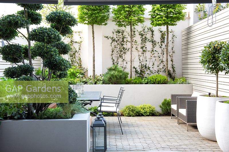 Small urban garden with planting in white containers and raised beds. 
