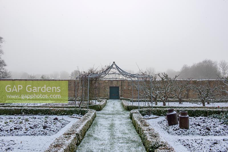 Box hedging providing structure in winter, with central pergola and old Apple trees beyond. 
