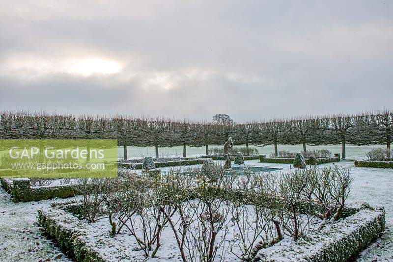 The formal garden surrounded by pleached limes. 