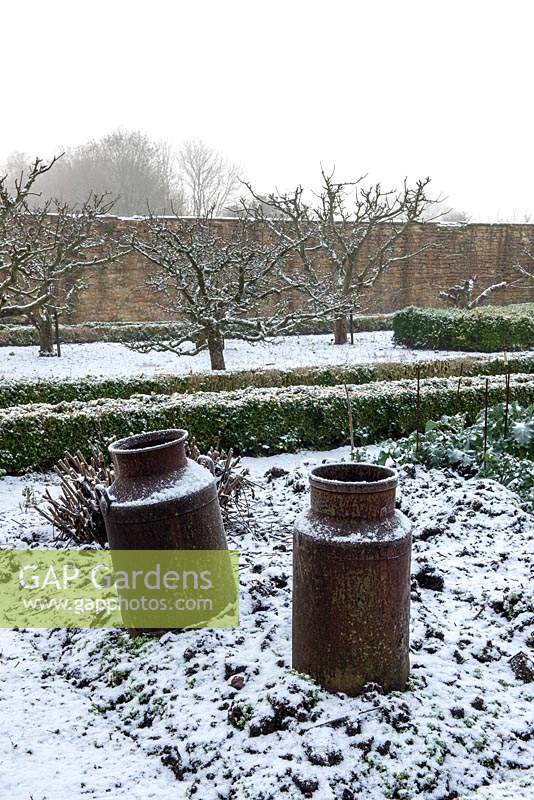 Old milk churns used as a feature in the walled kitchen garden. 