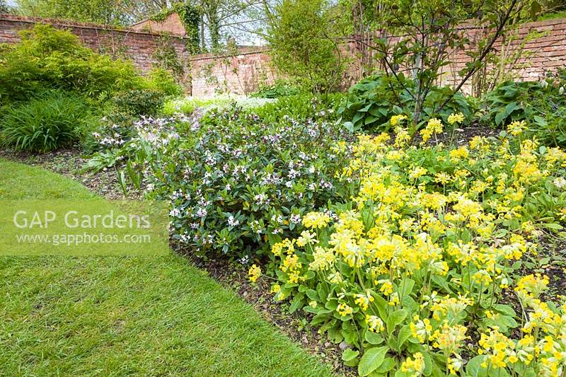 A border in The Croft Garden at Wollerton Old Hall Garden, Shropshire. UK.
