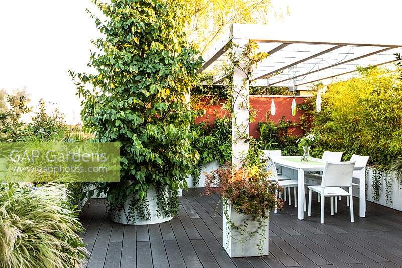Decked terrace with pergola and planted troughs screening dining area, plants include: Stipa tenuissima, Parrota persica 'Vanessa' and Phyllostachys nigra 'Epimedium'