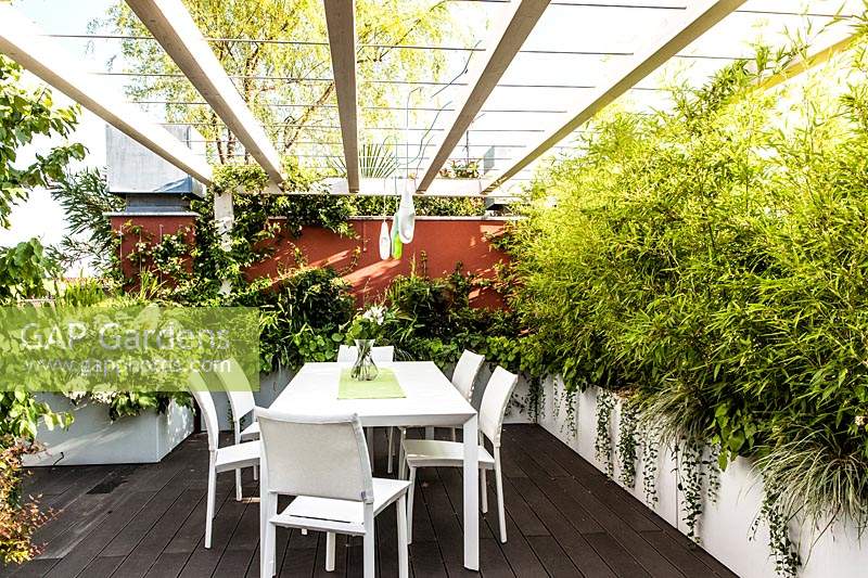 A dining area on a decked terrace, enclosed by a pergola and troughs of foliage plants such as Phyllostachys nigra 'Epimedium'