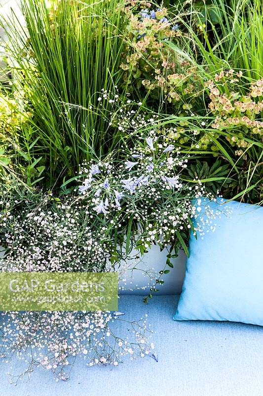 Raised bed behind seating area planted with Agapanthus, Gypsophila and Stipa