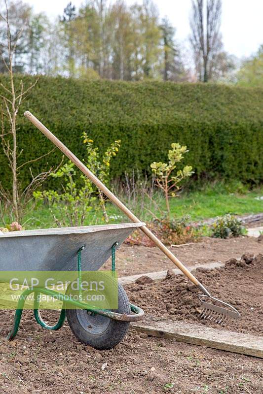Wheelbarrow and tools in new kitchen garden