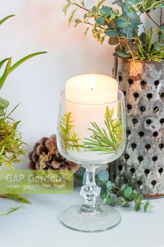 White candle in wine glass decorated with pine and moss
