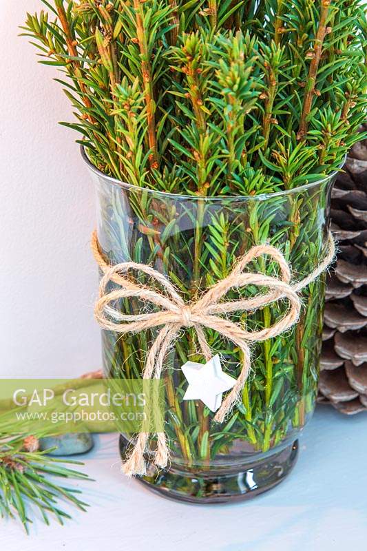 Close up detail of vase filled with Taxus - Yew - cuttings with natural string bow and wooden star