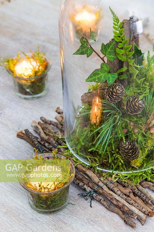 Winter table centrepiece arrangement under glass cloche with moss, cones, ivy and ferns