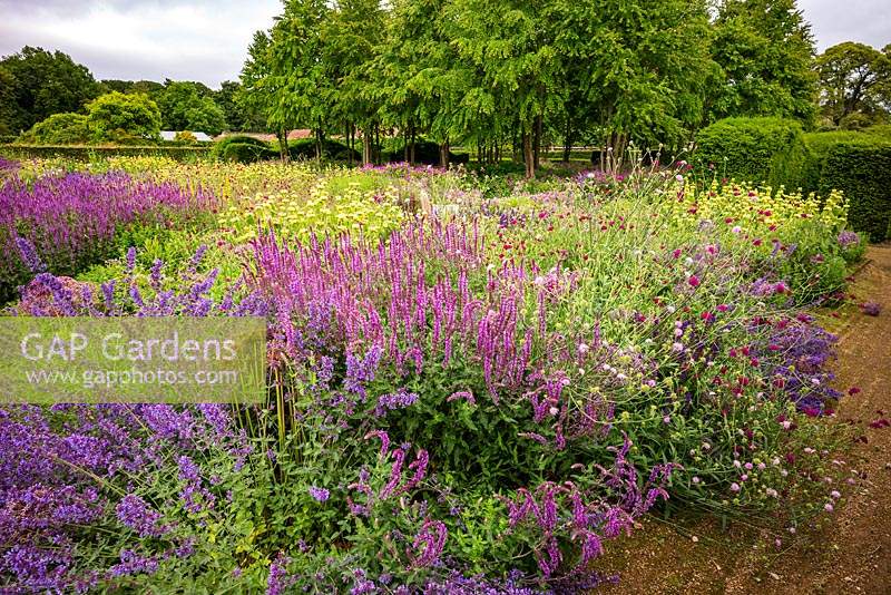 The Perennial Meadow and Katsura Grove at Scampston Hall Walled Garden, North Yorkshire, UK. 