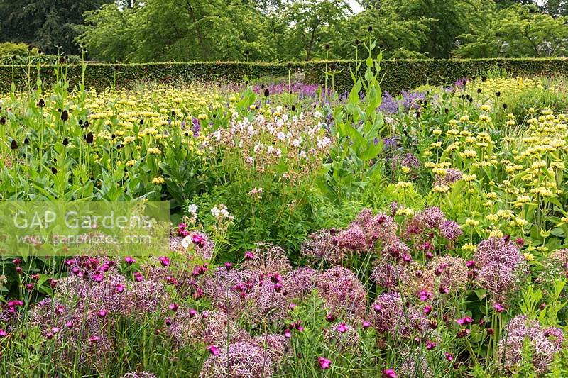 The Perennial Meadow at Scampston Hall Walled Garden, North Yorkshire, UK. 