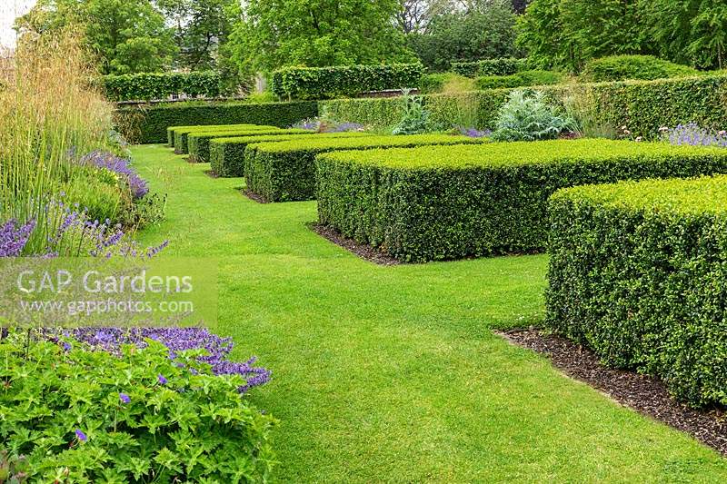 Clipped topiary Buxus sempervirens - Box cubes in The Spring and Summer Box Borders, at Scampston Hall Walled Garden, North Yorkshire, UK.
