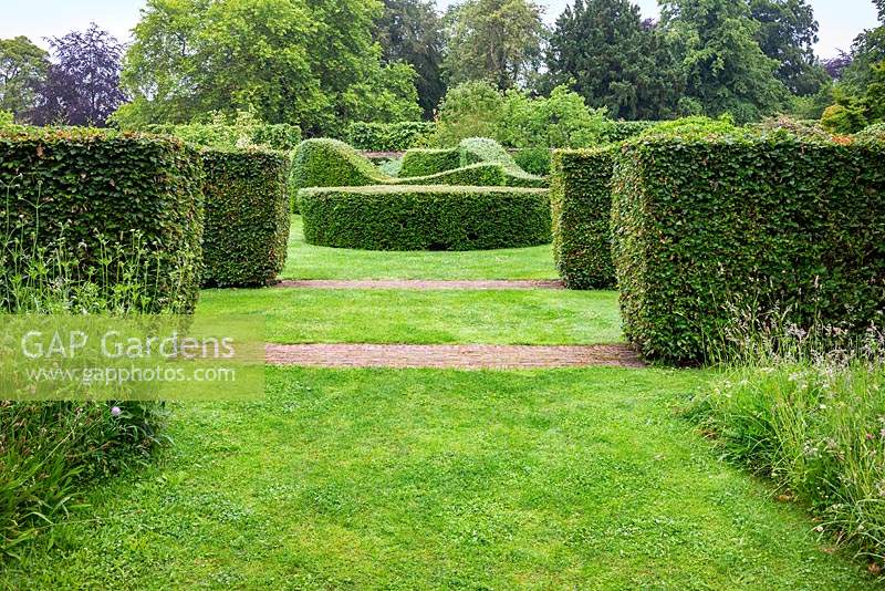 Clipped hedges of Fagus sylvatica - Beech and Taxus baccata - Yew in the Serpentine Garden at Scampston Hall Walled Garden, North Yorkshire, UK. 