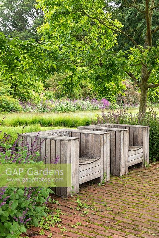 Wooden seats on brick paving under Phellodendron chinense trees, shading the seating area in the Drifts of Grasses Garden at Scampston Hall Walled Garden, North Yorkshire, UK.
