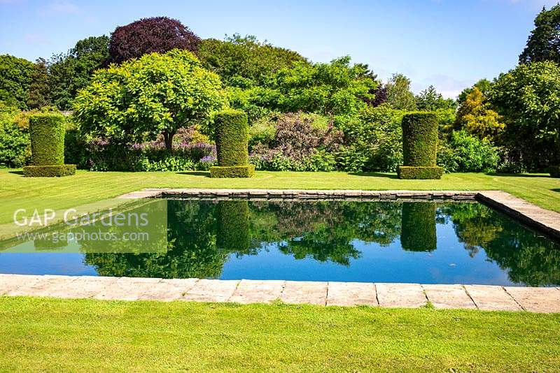 Reflective pool and clipped Yew columns - Taxus baccata - in the Silent Garden at Scampston Hall Walled Garden, North Yorkshire, UK. 