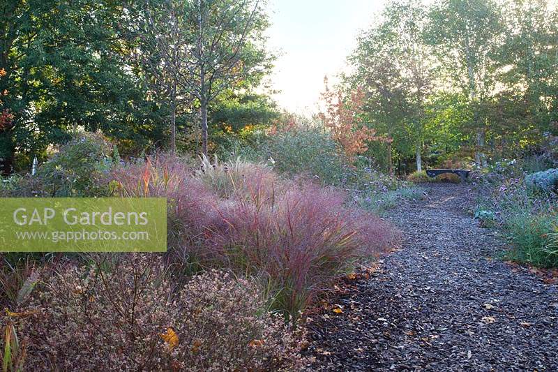 Informal path through autumn planting Radcot House, Oxfordhsire, UK