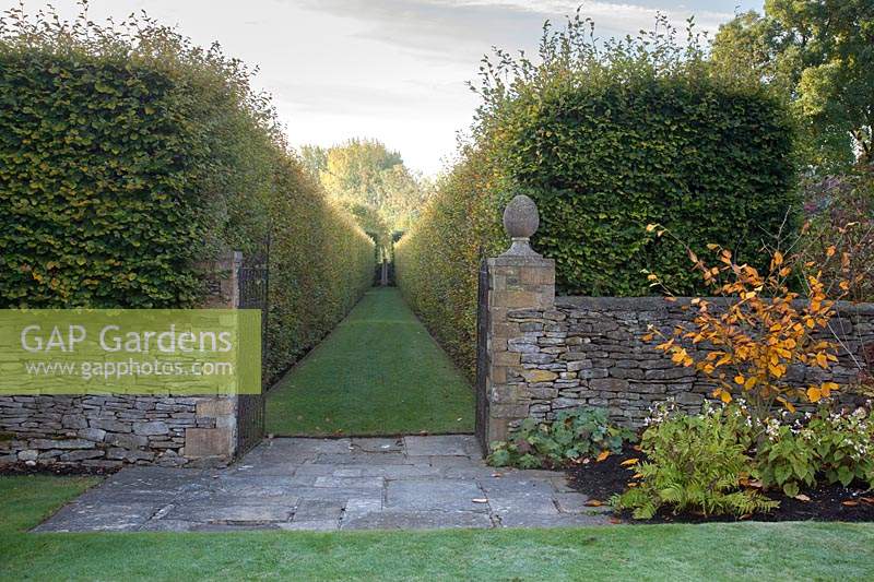 Formal grass path through Beech avenue hedging with stone wall and metal gate.  Radcot House, Oxfordshire, UK