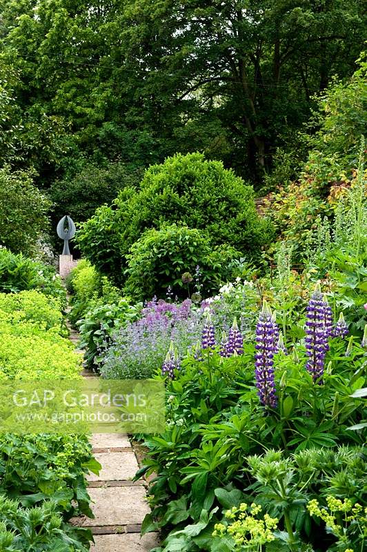 Lupinus 'Governor Blue' and Alchemilla mollis in borders either side of path leading to angel sculpture. 