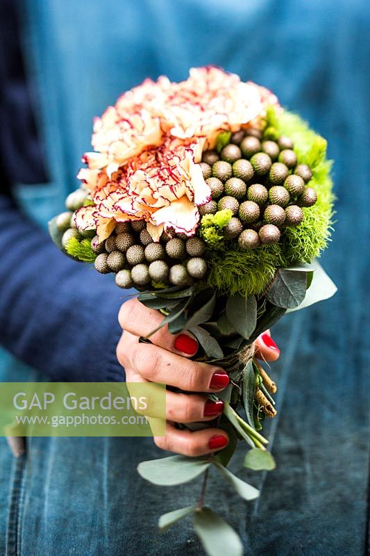 Bouquet of cut flowers held by a person featuring brunia albiflora, dianthus 'green trick' and eucalyptus 'viper' 