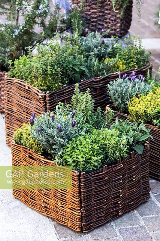 Wicker baskets fulled with aromatic plants and herbs including lavender. 