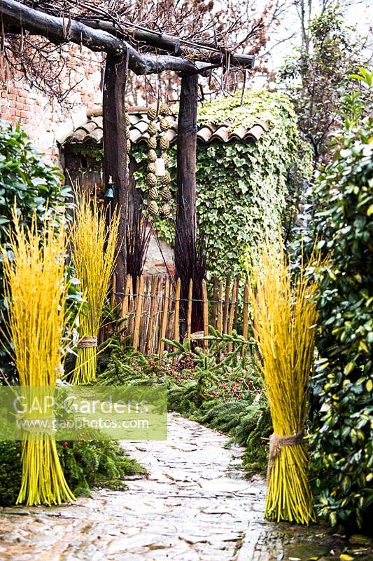 Bundles of Cornus sericea 'Flaviramea' - Dogwood - stems decorate a path