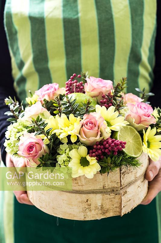 Person holding a floral display, pot wrapped with birch bark with Rosa 'Cupcake' - Rose, Chrysanthemum 'Alero Cream', Dianthus 'Green Trick', Hydrangea 'Groen' and pink Pepperberries and foliage