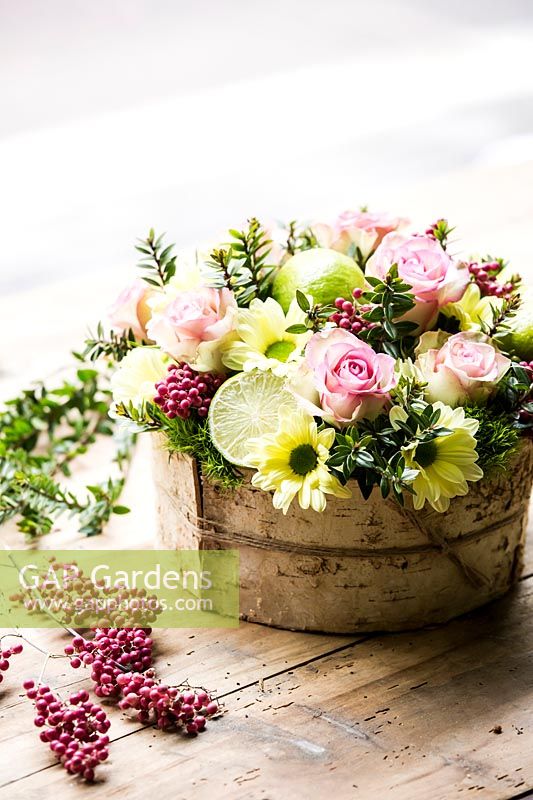 Floral arrangement in a pot lined with birch bark, contains lime fruits and pink Pepperberries, Myrtle branches, Rosa 'Cupcake' and Chrysanthemum 'Alero Cream'