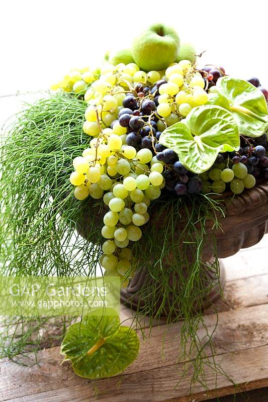 Display of green and purple Grape, Apple, Anthurium and Rhipsalis in urn-type bowl